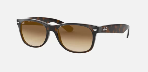 NEW WAYFARER 2132 - Imagen 2