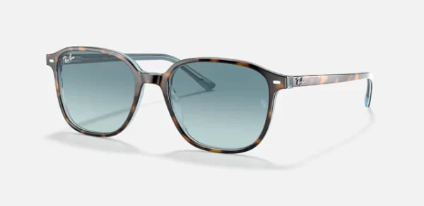 LEONARD 2193